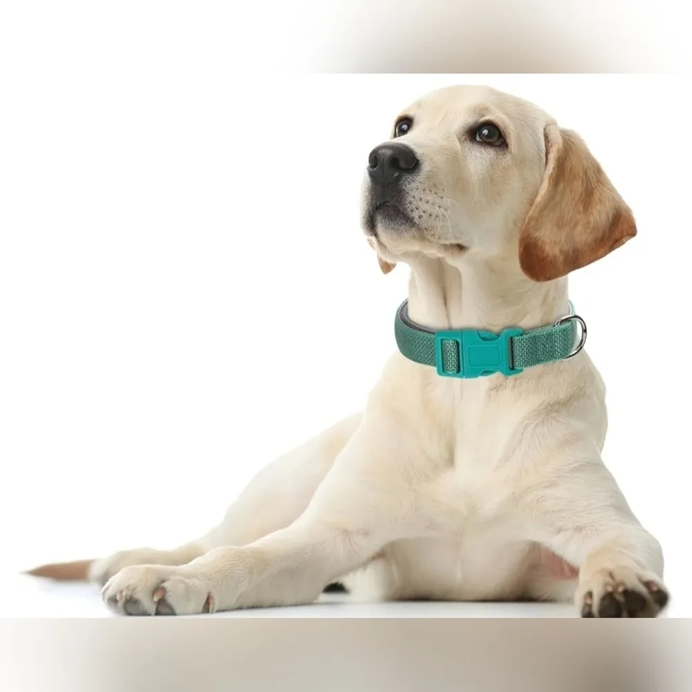 NWT Medium Reflective Light Blue Dog Collar